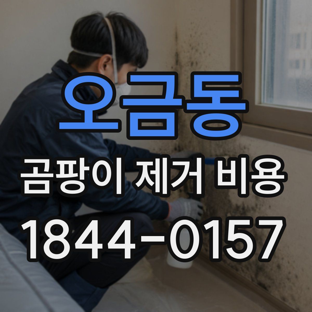 오금동 곰팡이 제거 비용