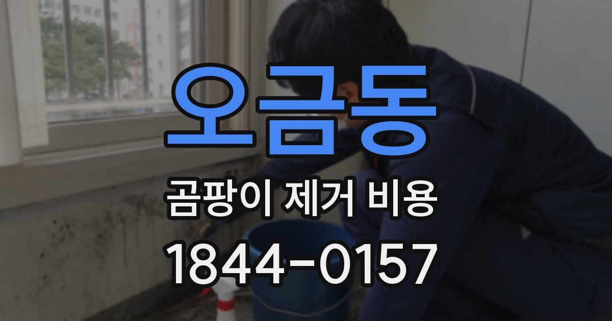 오금동 곰팡이 제거 비용