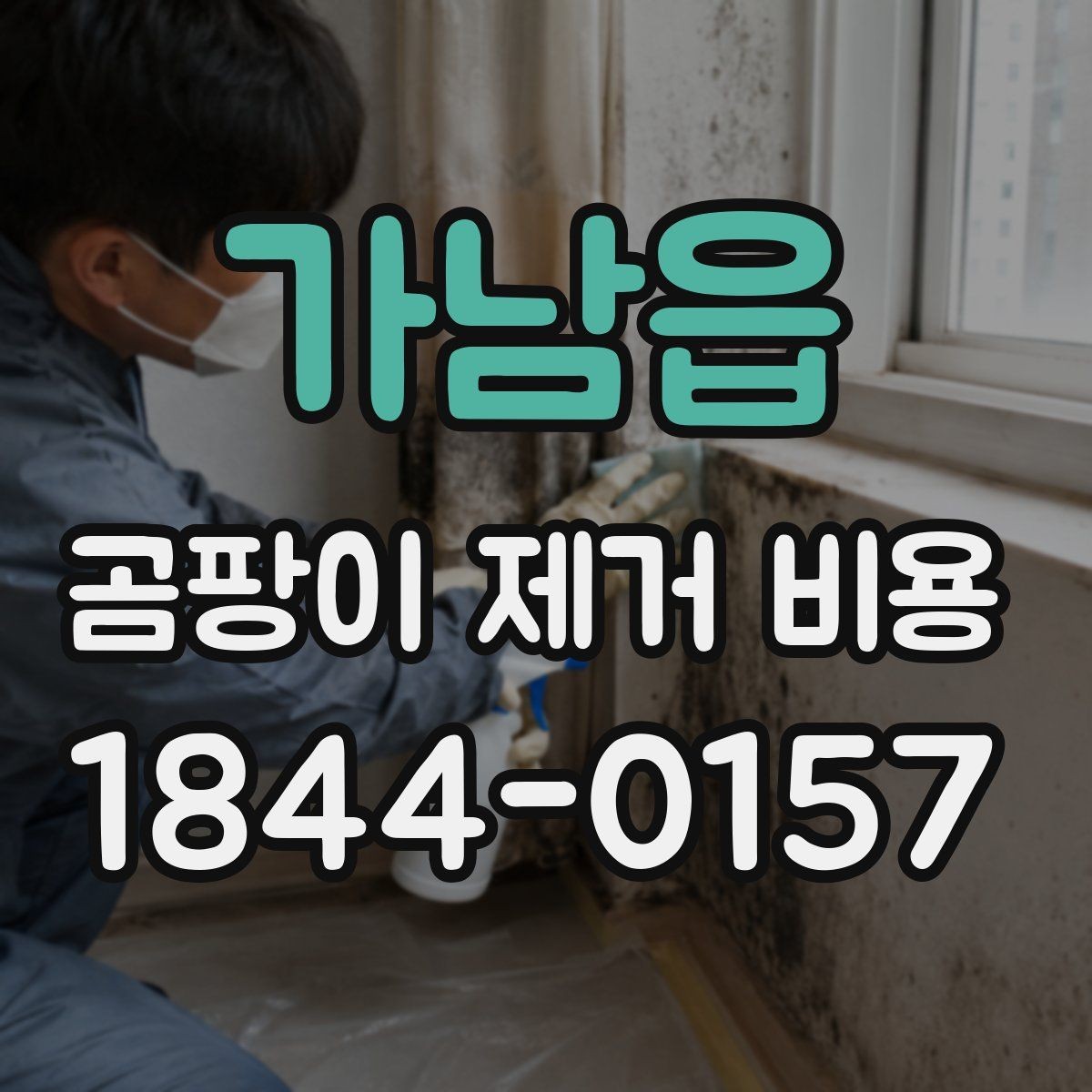 가남읍 곰팡이 제거 비용 욕실 벽 오염과 천장 오염을 비교해 보기