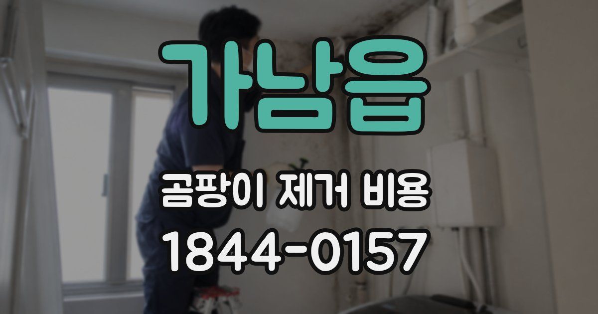 가남읍 곰팡이 제거 비용