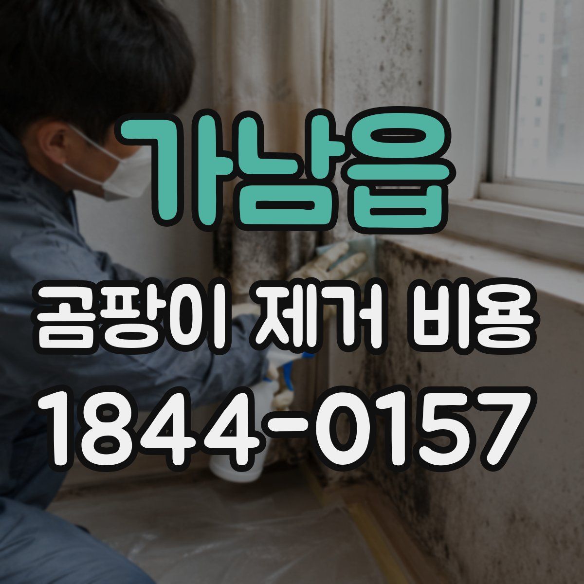 가남읍 곰팡이 제거 비용