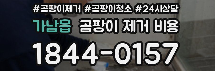 가남읍 곰팡이 제거 비용