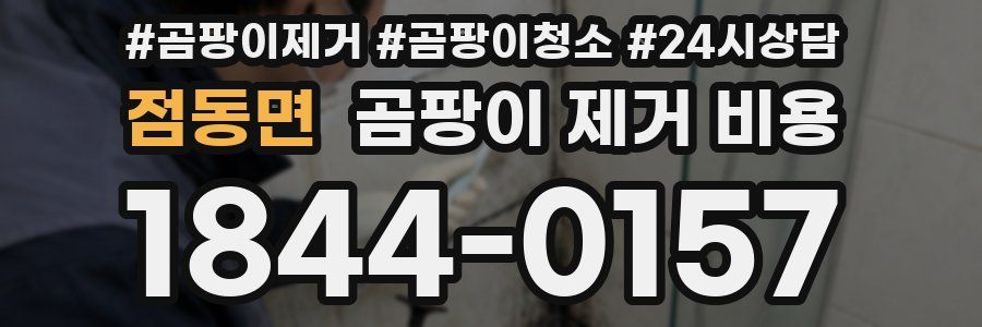 점동면 곰팡이 제거 비용