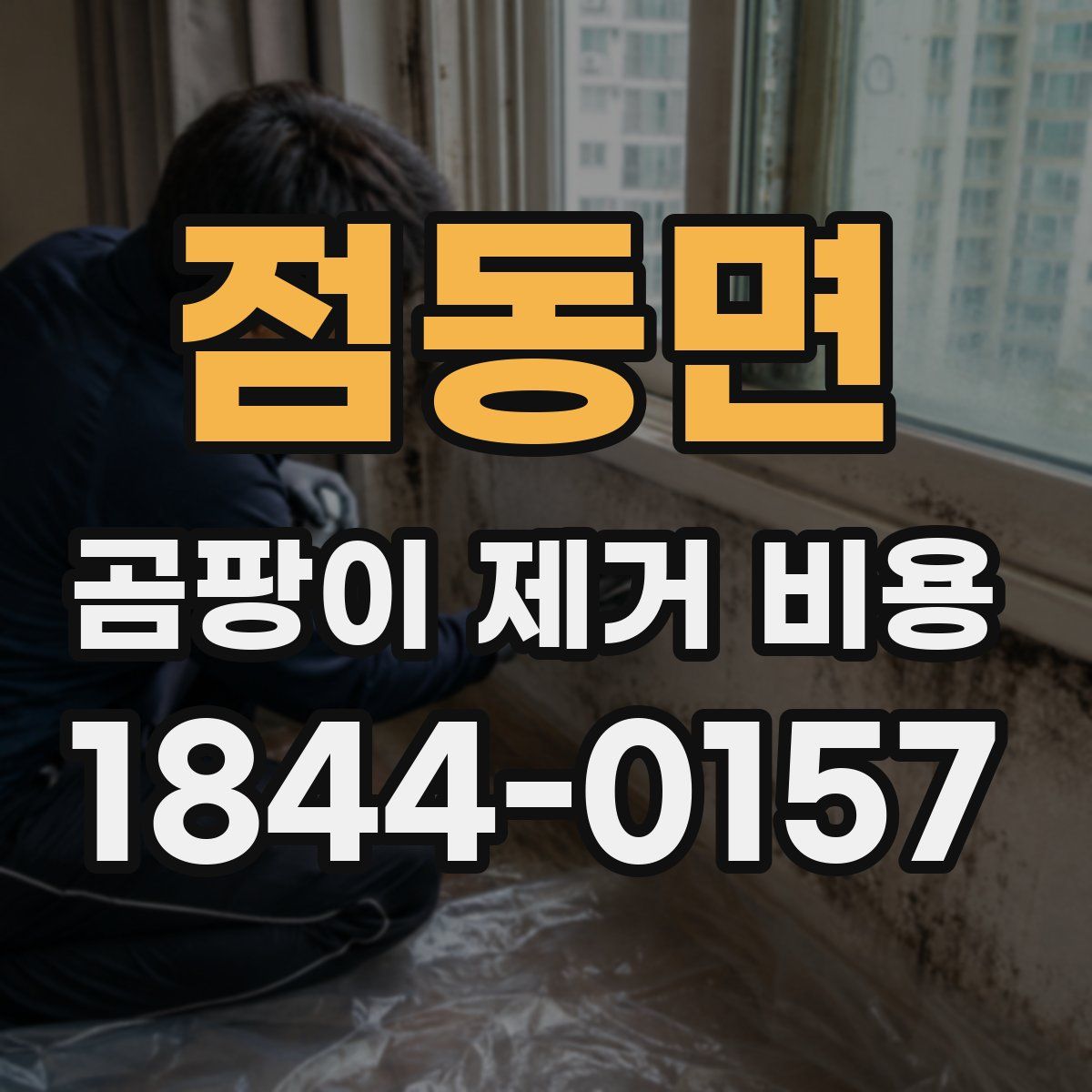 점동면 곰팡이 제거 비용