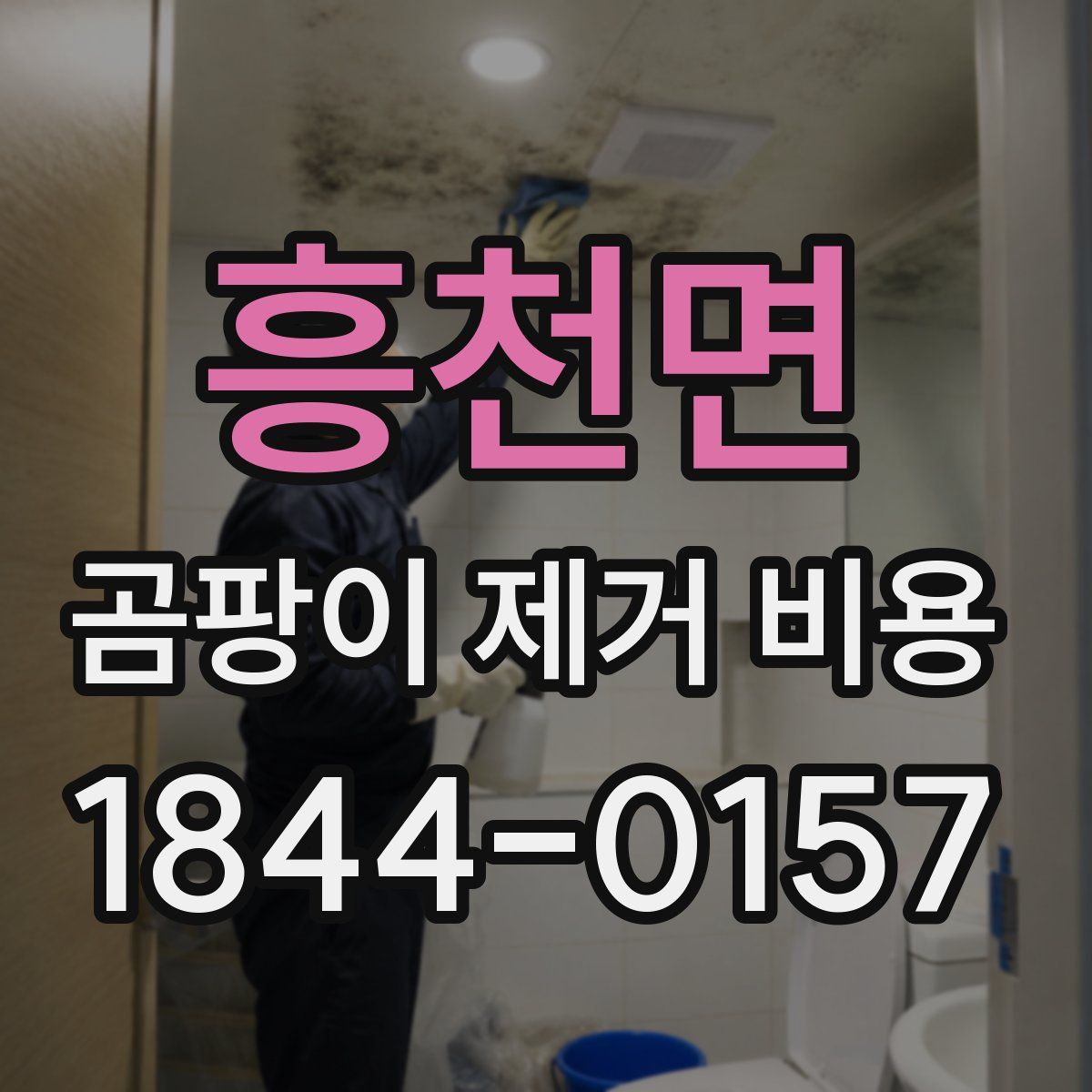 흥천면 곰팡이 제거 비용