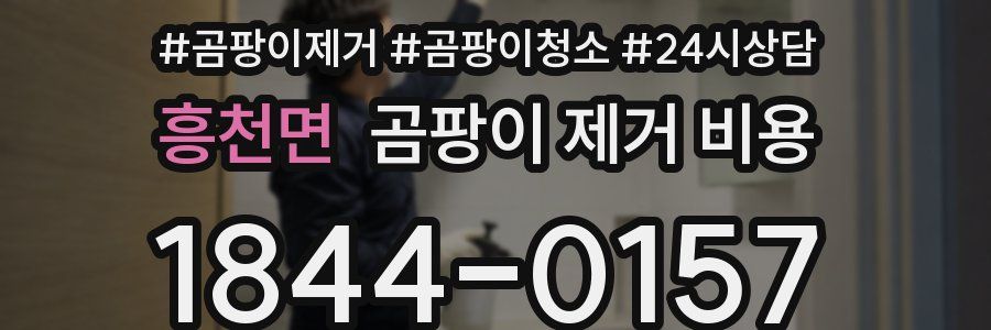 흥천면 곰팡이 제거 비용
