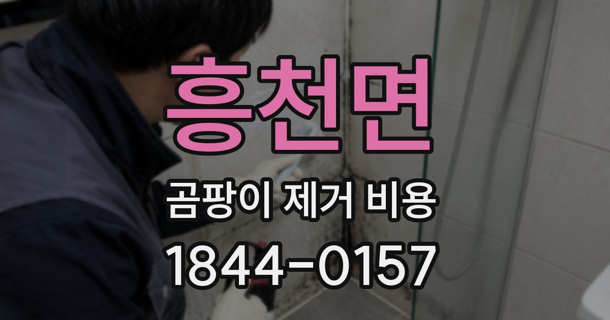 흥천면 곰팡이 제거 비용