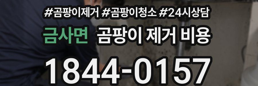 금사면 곰팡이 제거 비용