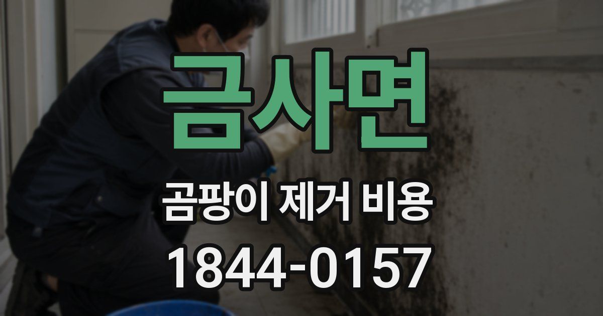 금사면 곰팡이 제거 비용