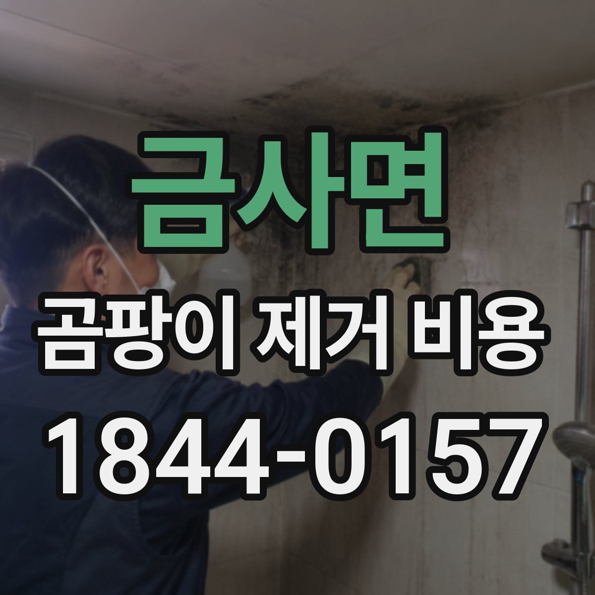 금사면 곰팡이 제거 비용