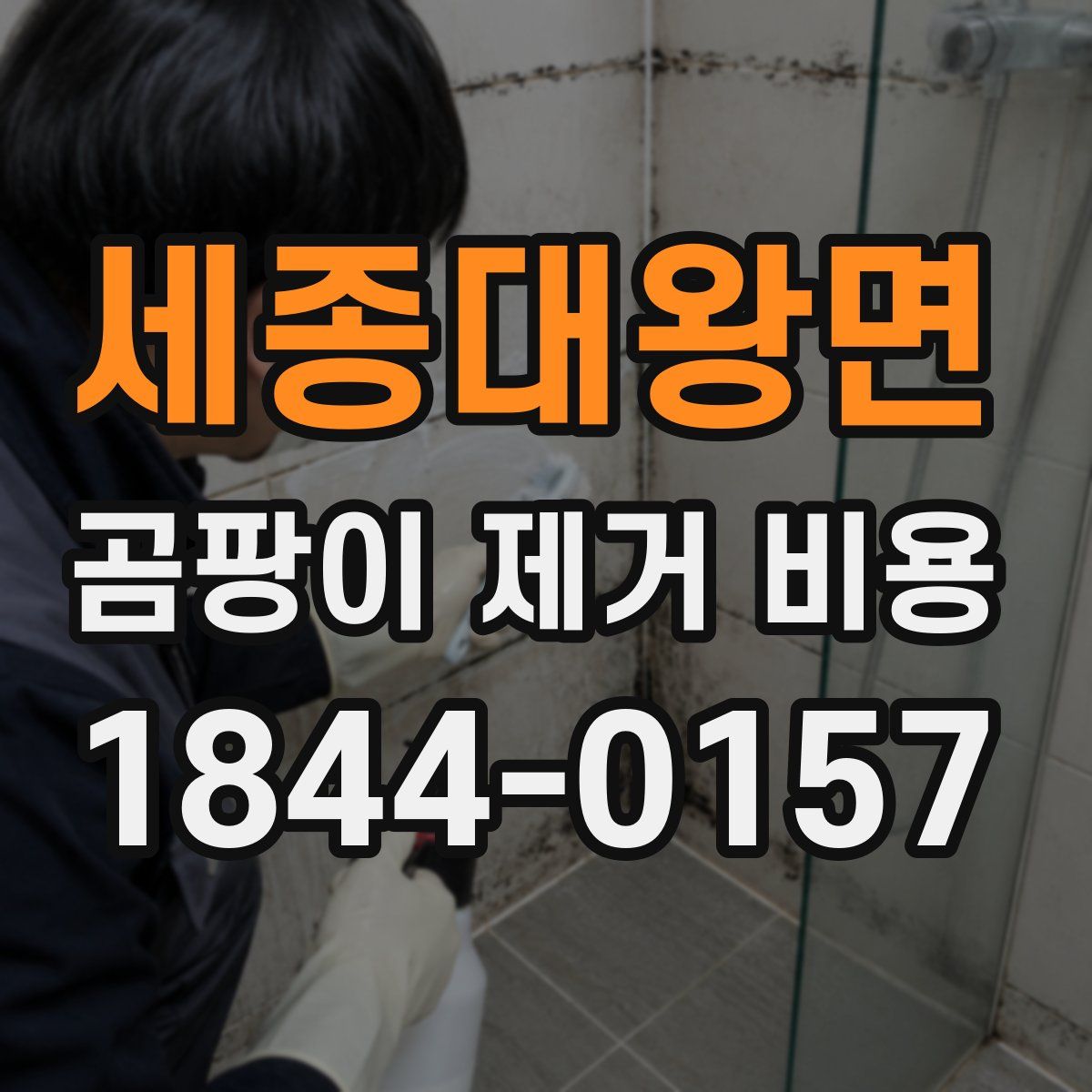 세종대왕면 곰팡이 제거 비용