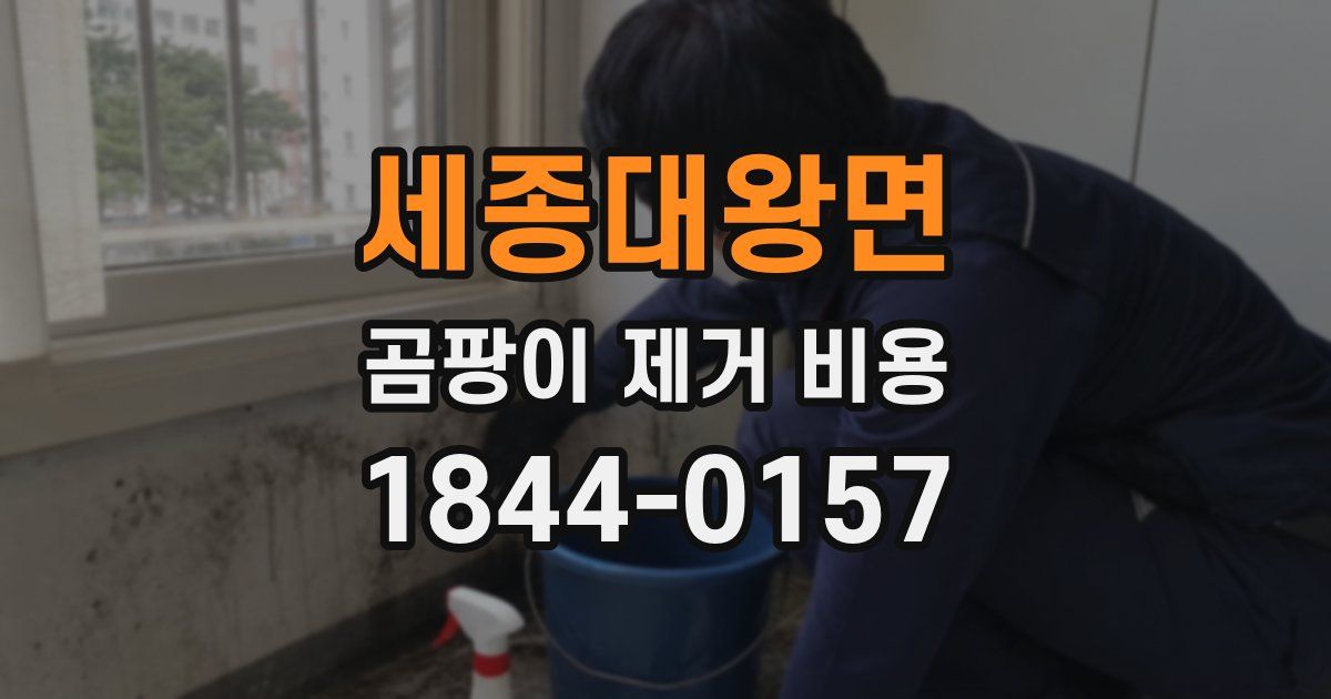 세종대왕면 곰팡이 제거 비용