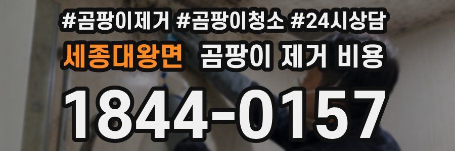 세종대왕면 곰팡이 제거 비용