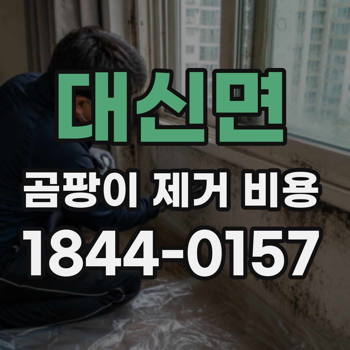 대신면 곰팡이 제거 비용