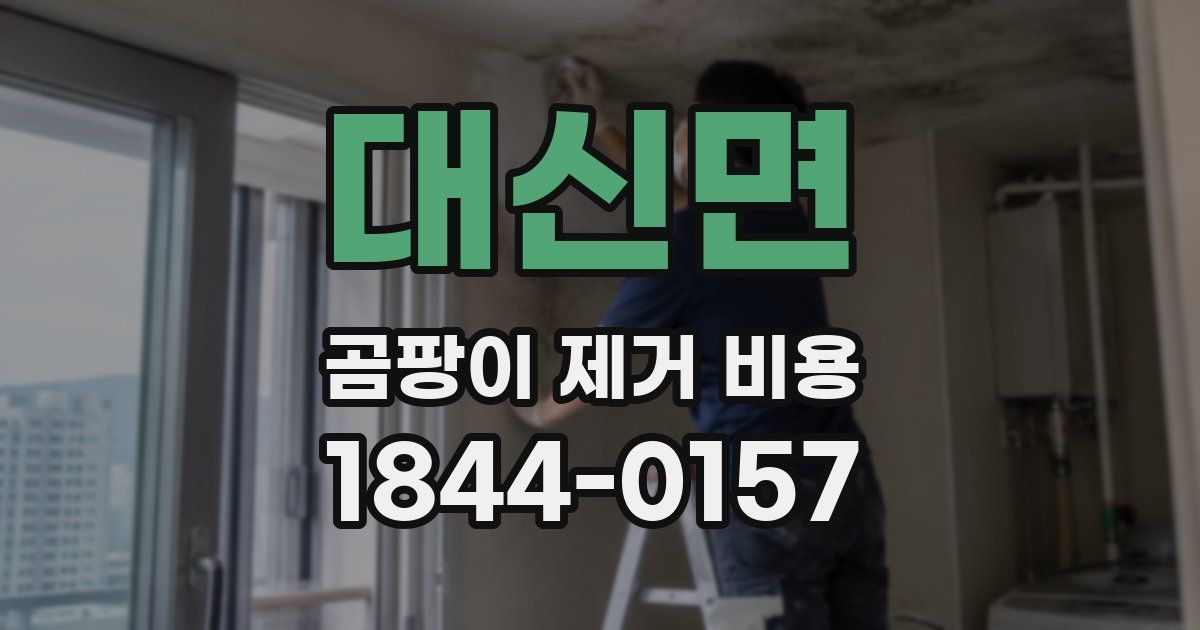 대신면 곰팡이 제거 비용