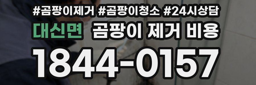 대신면 곰팡이 제거 비용
