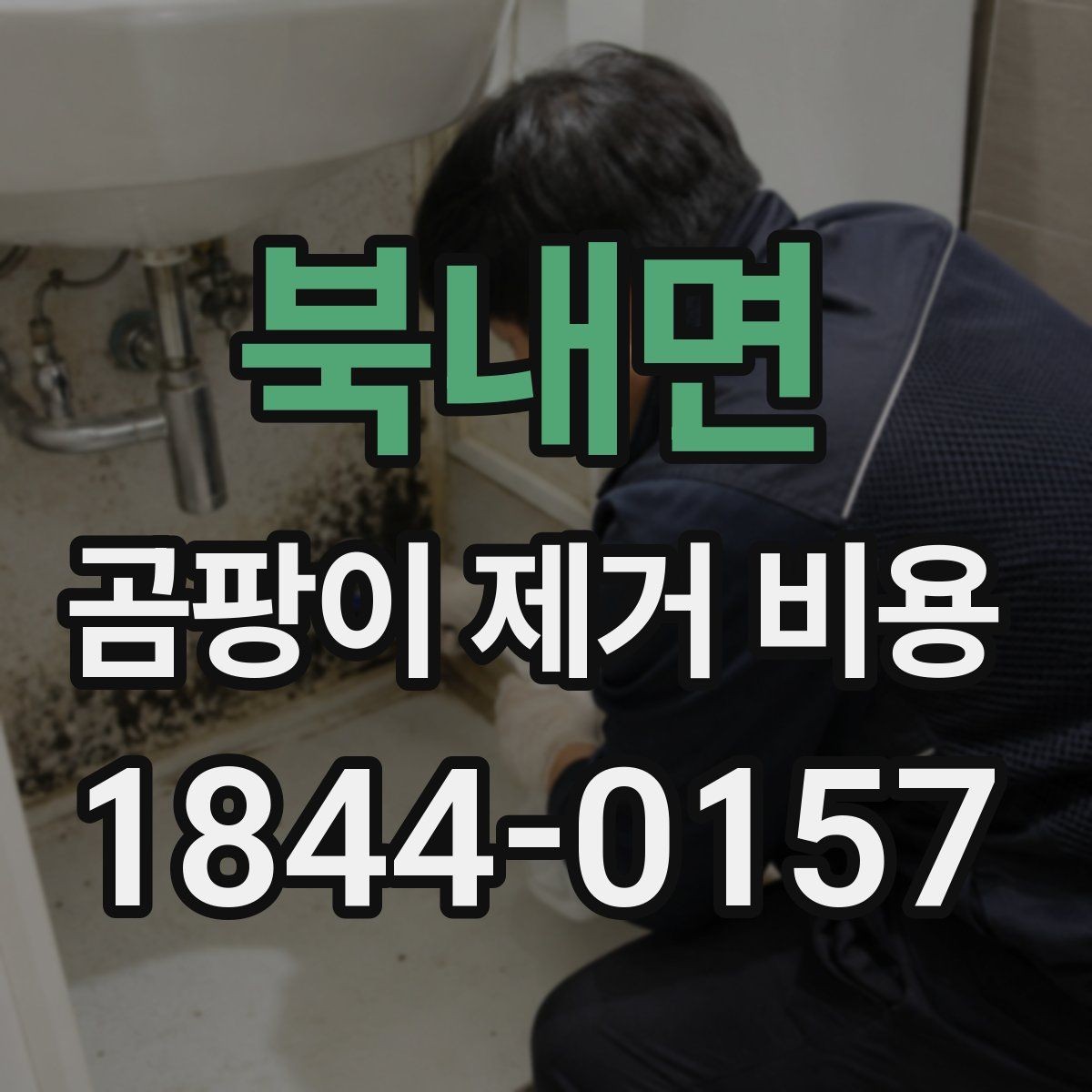 북내면 곰팡이 제거 비용 공동주택 공사 일정 조율할 때 살펴볼 점