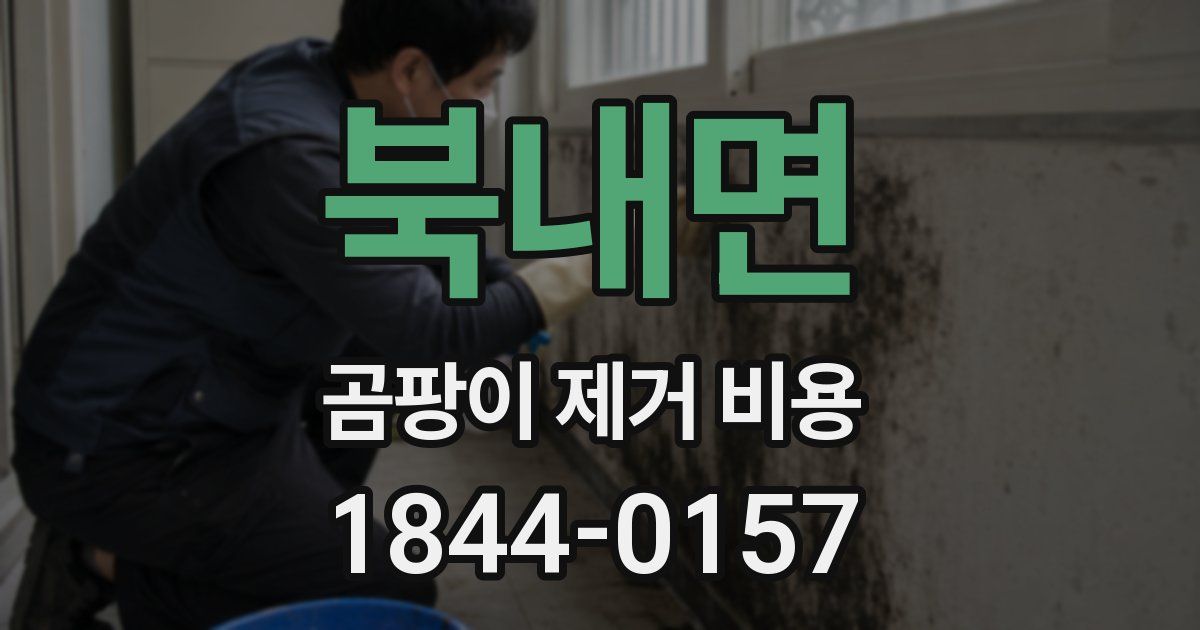 북내면 곰팡이 제거 비용