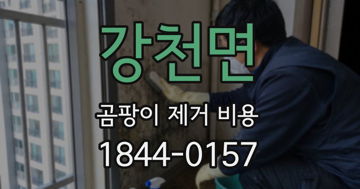 강천면 곰팡이 제거 비용
