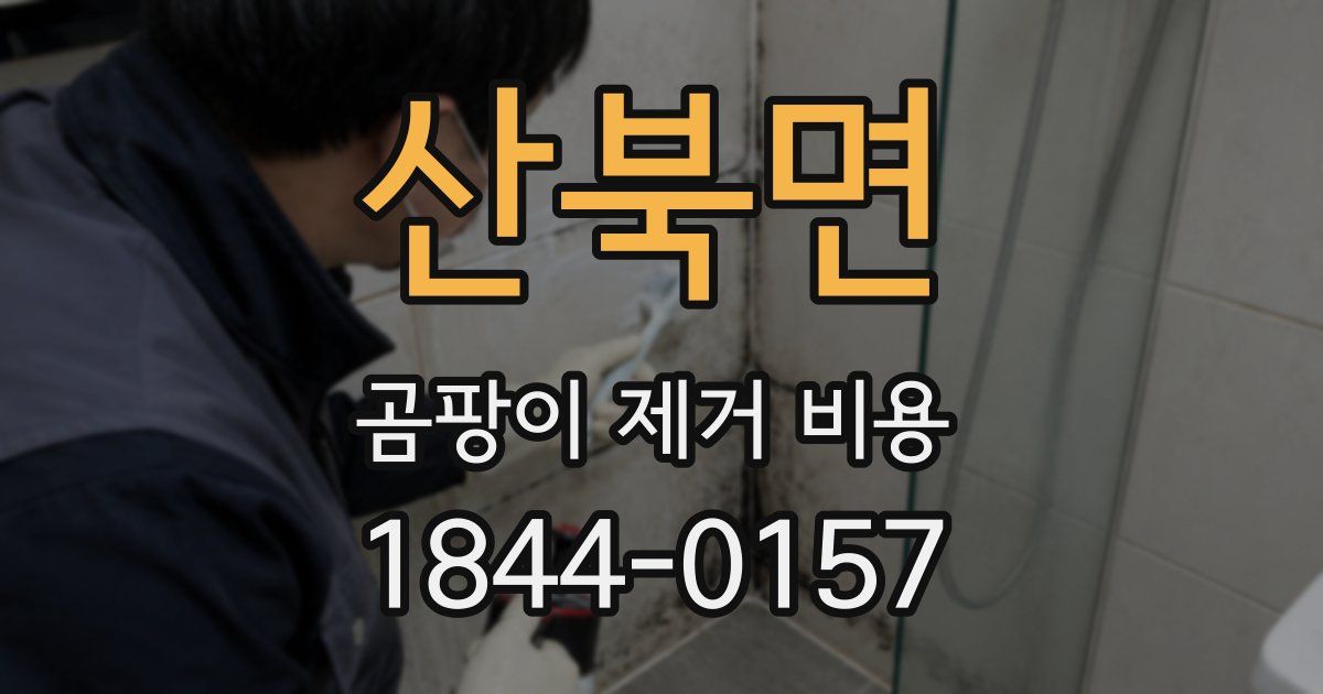 산북면 곰팡이 제거 비용