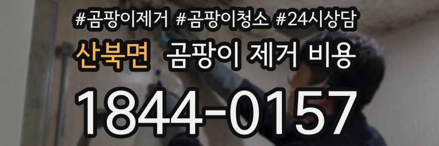 산북면 곰팡이 제거 비용
