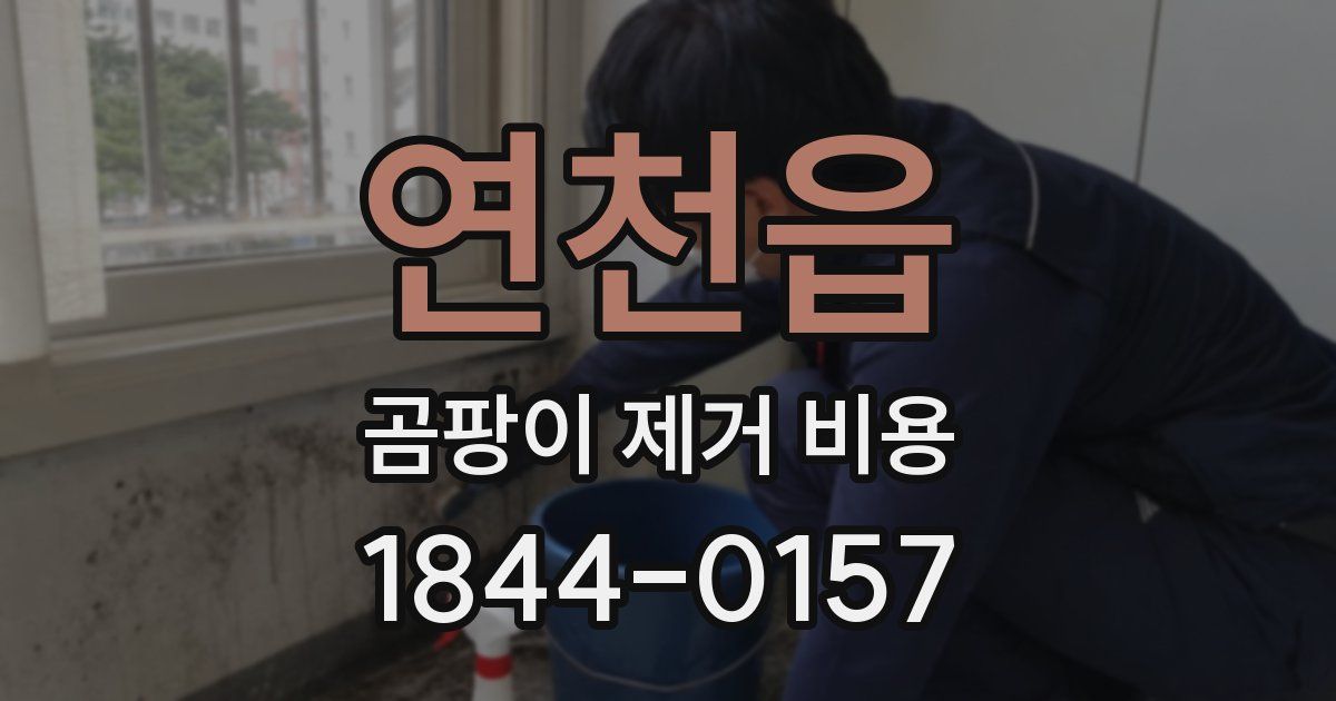 연천읍 곰팡이 제거 비용