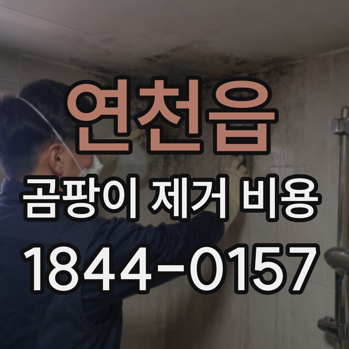연천읍 곰팡이 제거 비용