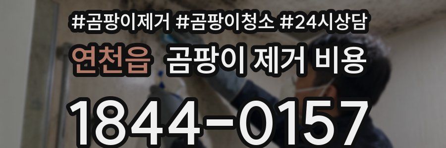 연천읍 곰팡이 제거 비용