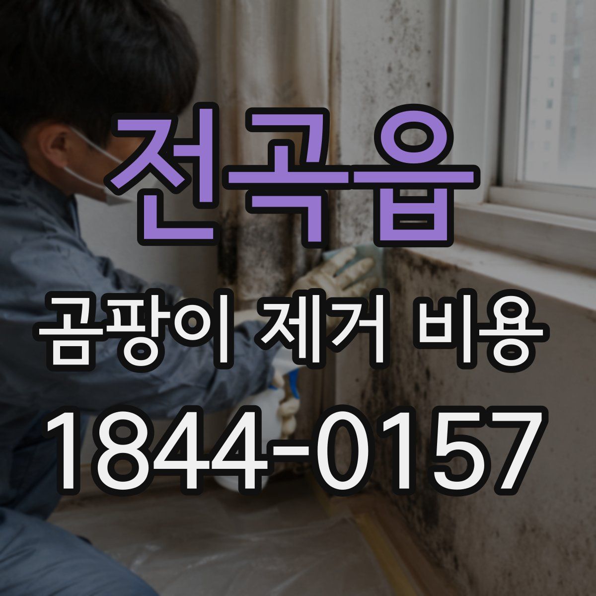 전곡읍 곰팡이 제거 비용