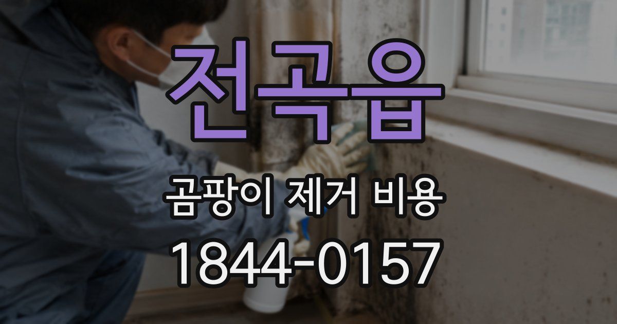 전곡읍 곰팡이 제거 비용