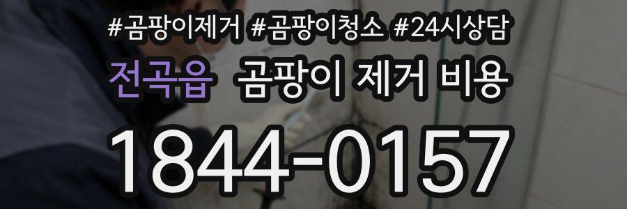 전곡읍 곰팡이 제거 비용