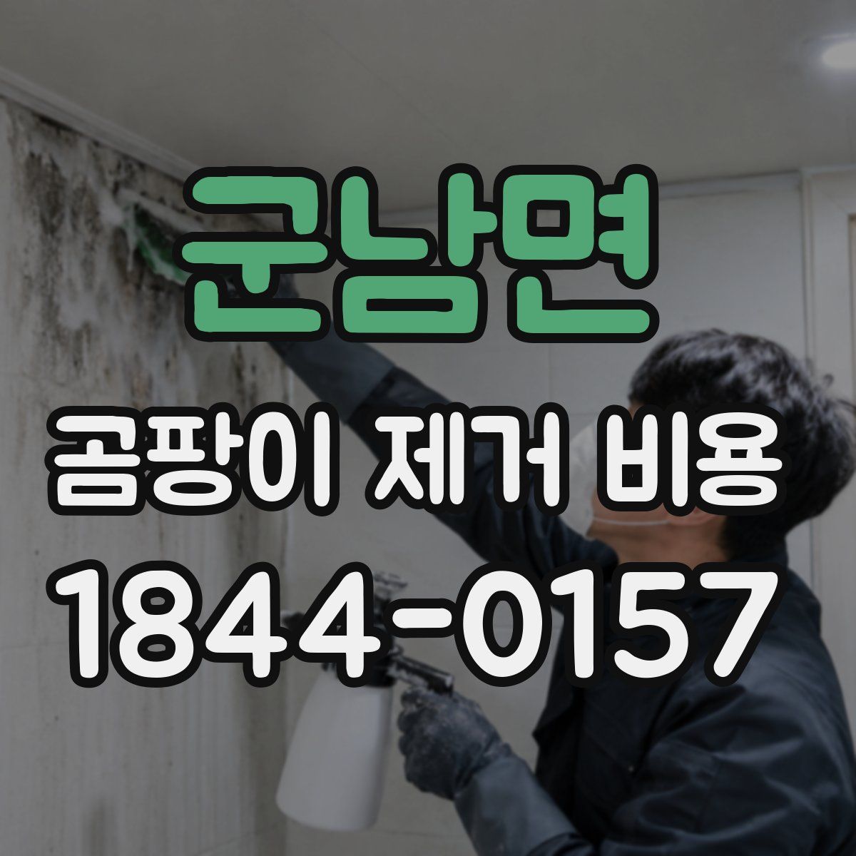군남면 곰팡이 제거 비용