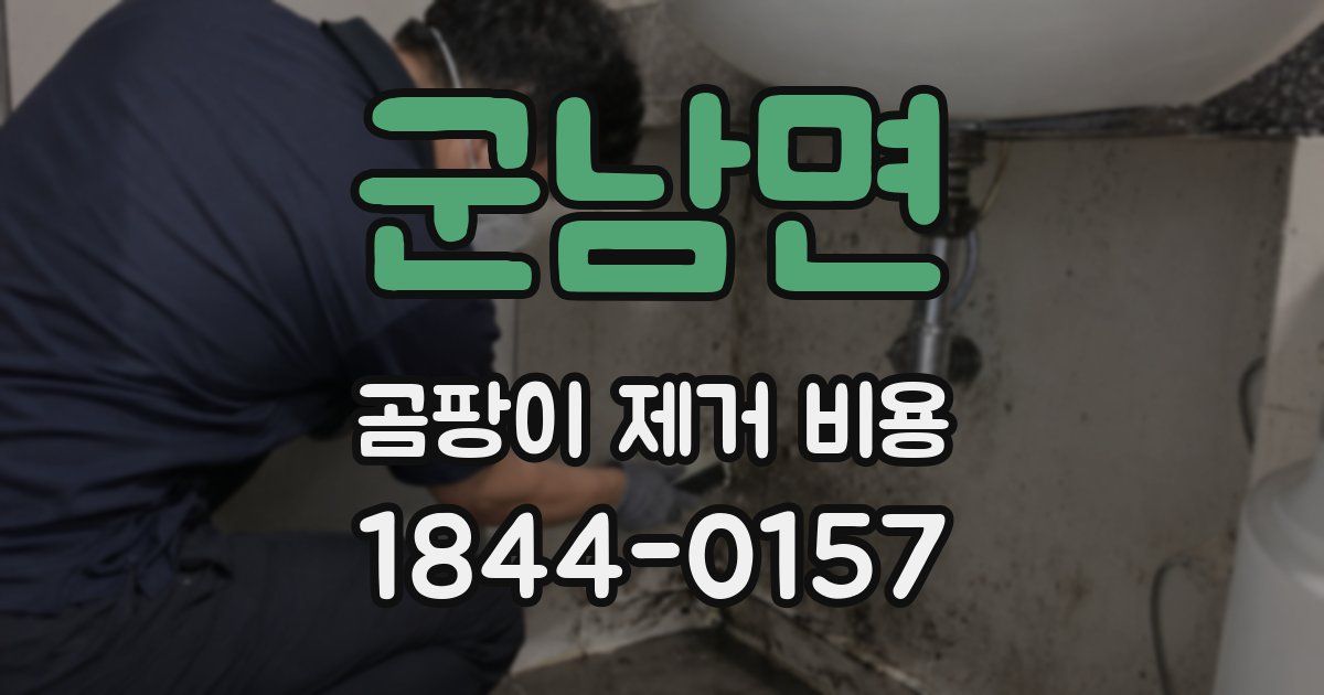군남면 곰팡이 제거 비용