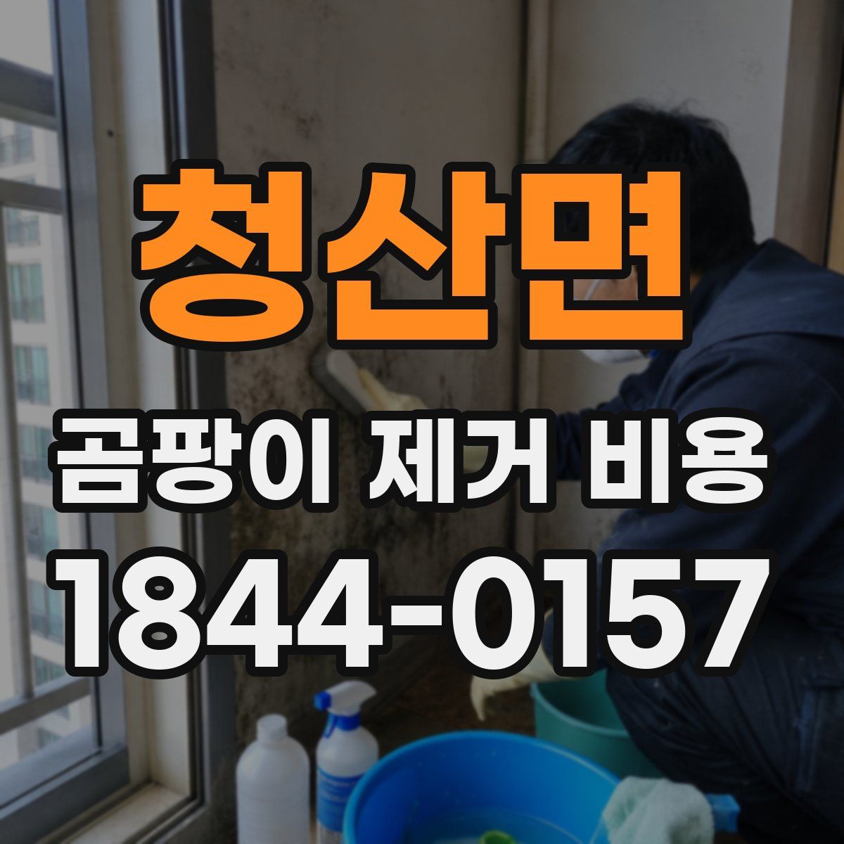 청산면 곰팡이 제거 비용