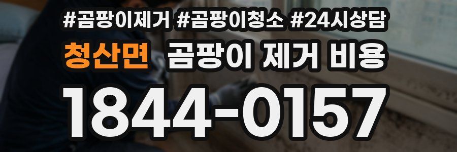청산면 곰팡이 제거 비용