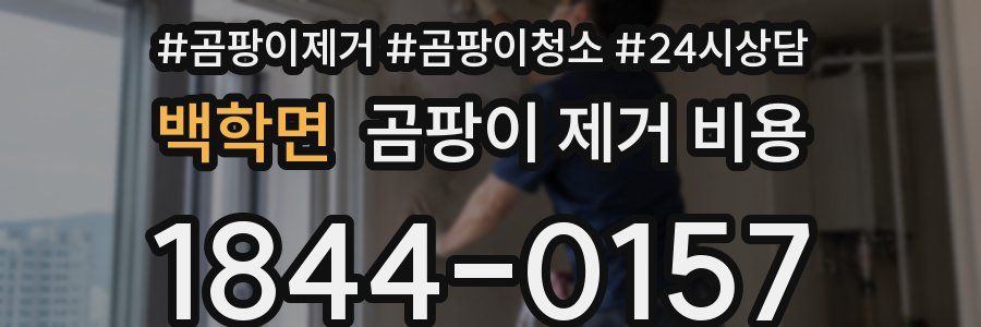백학면 곰팡이 제거 비용