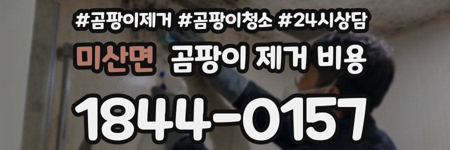 미산면 곰팡이 제거 비용