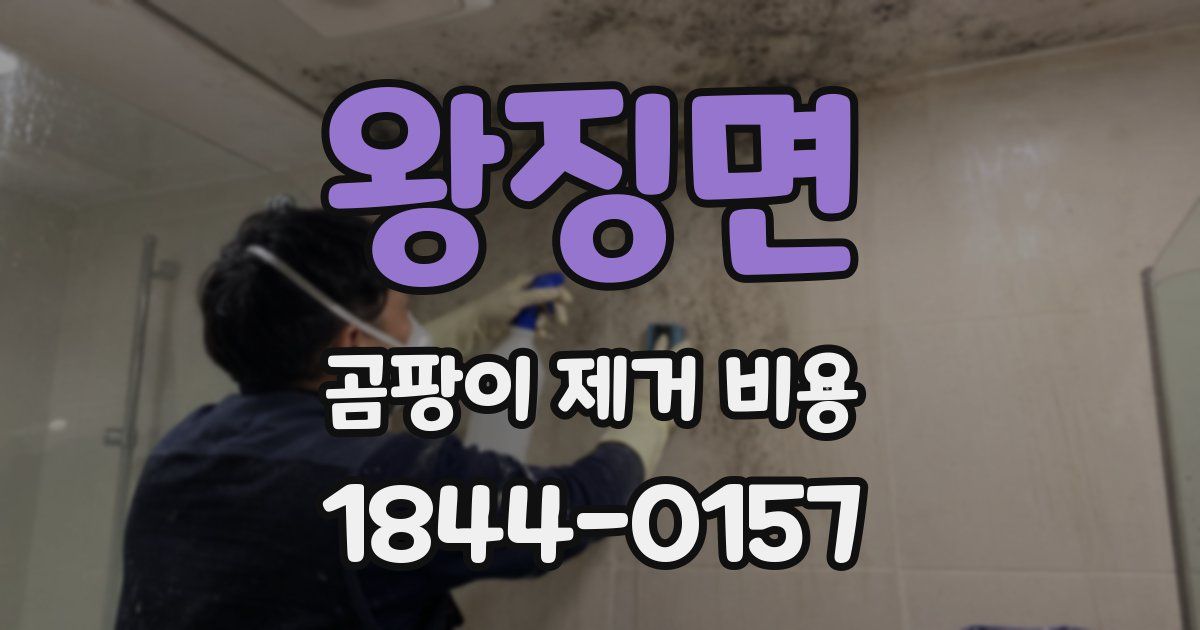 왕징면 곰팡이 제거 비용