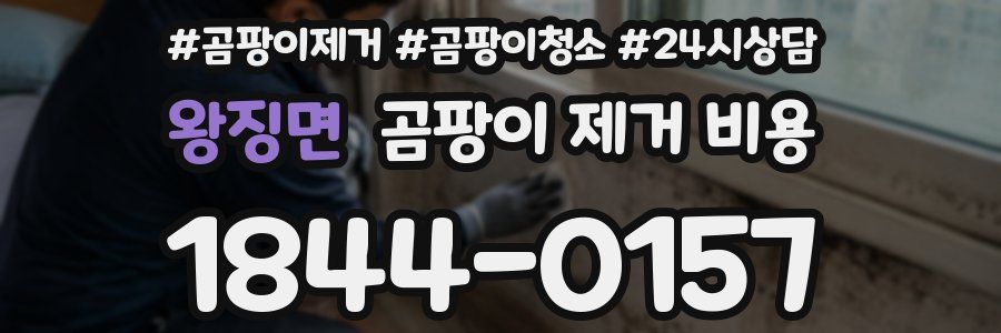 왕징면 곰팡이 제거 비용