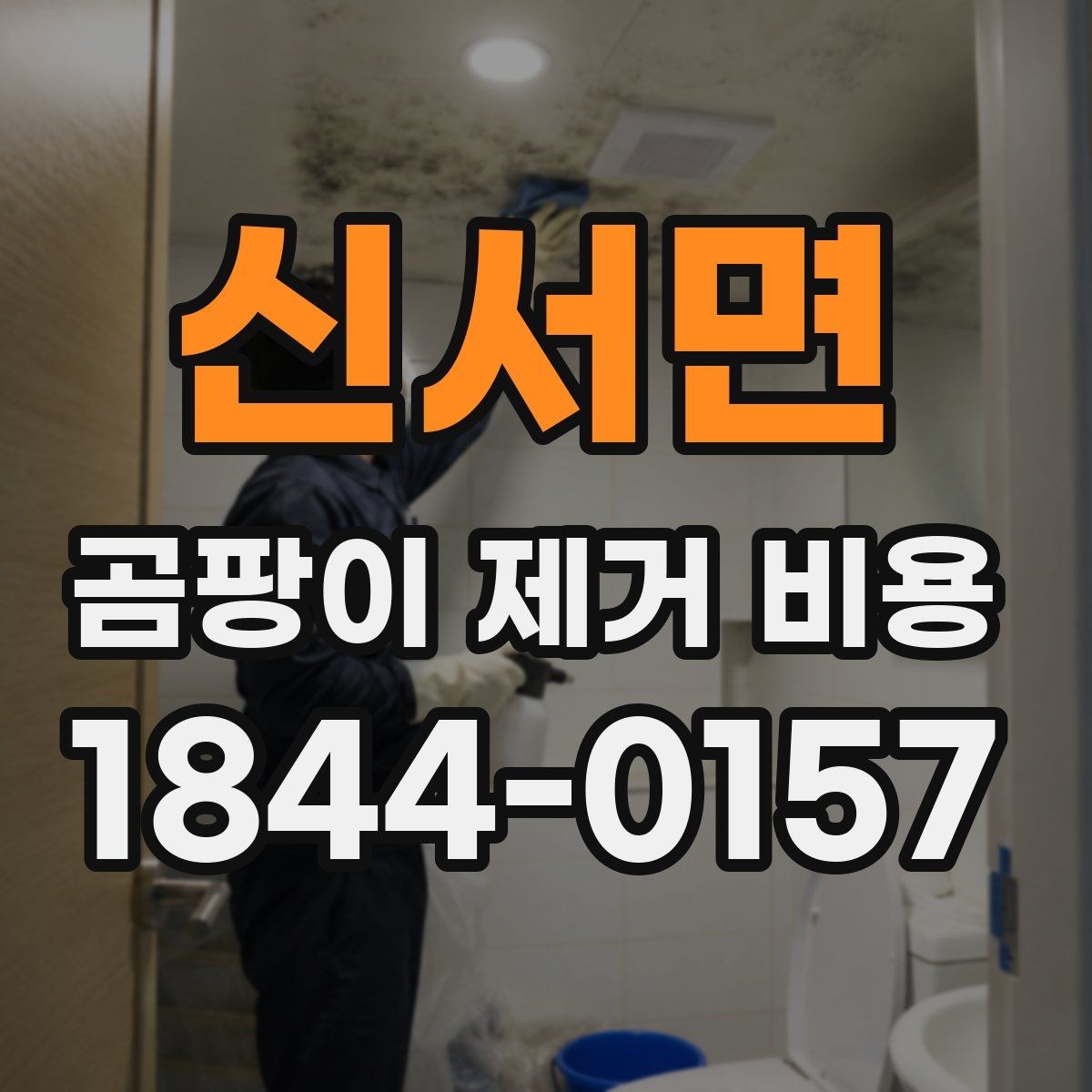 신서면 곰팡이 제거 비용 상가 내부 오염과 세대별 주거공간 차이