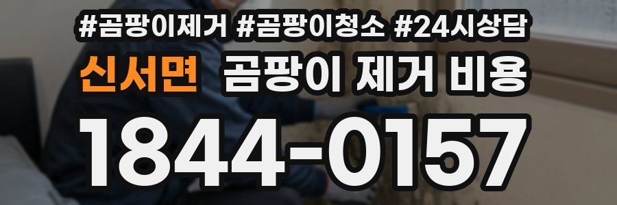 신서면 곰팡이 제거 비용