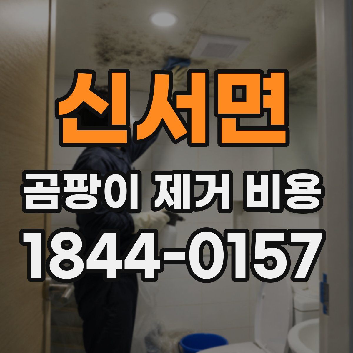 신서면 곰팡이 제거 비용