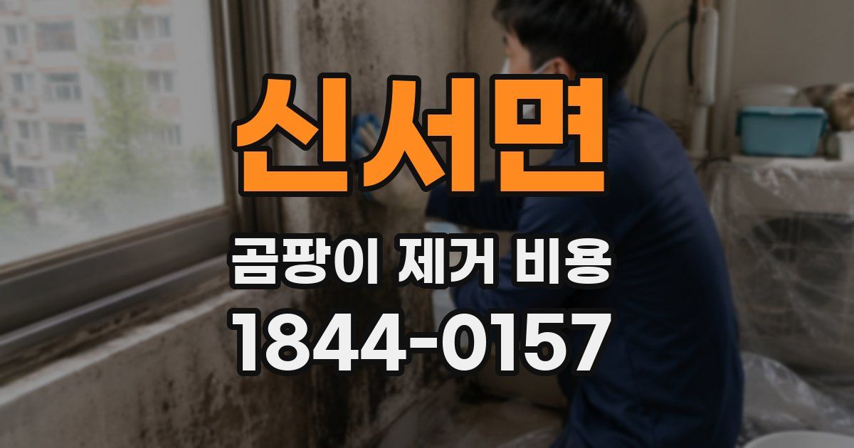 신서면 곰팡이 제거 비용