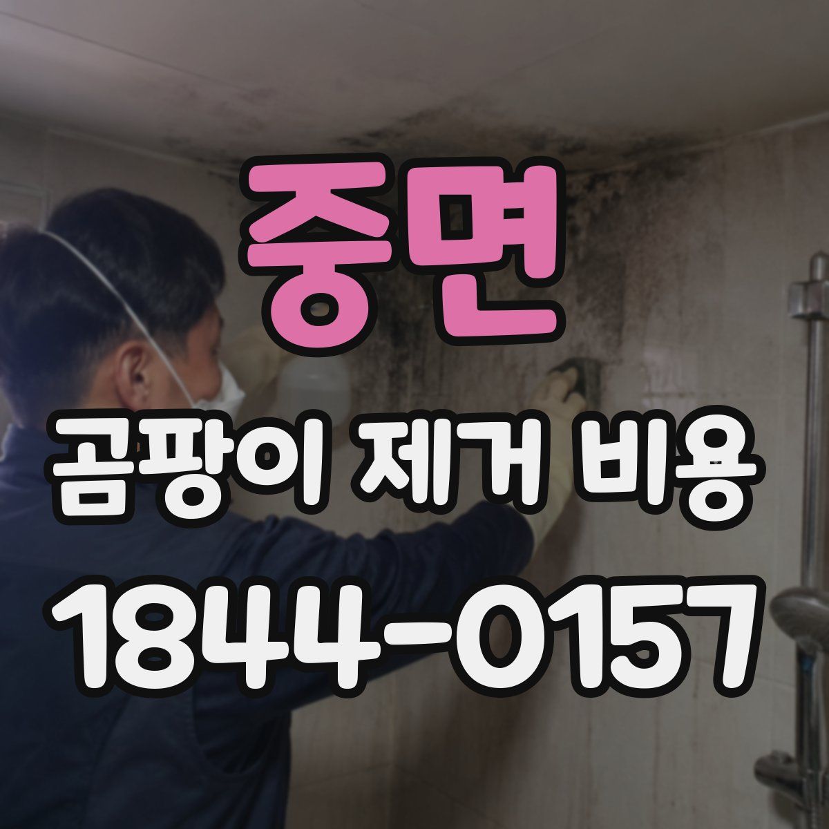 중면 곰팡이 제거 비용