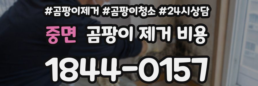 중면 곰팡이 제거 비용