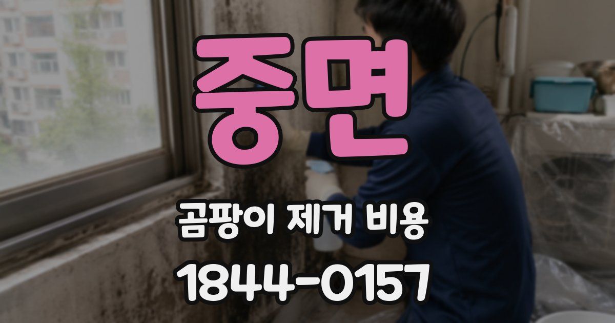 중면 곰팡이 제거 비용