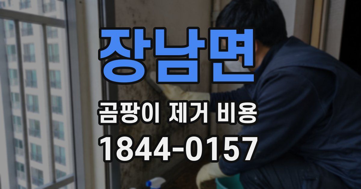 장남면 곰팡이 제거 비용