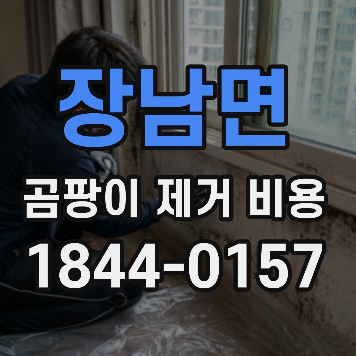 장남면 곰팡이 제거 비용