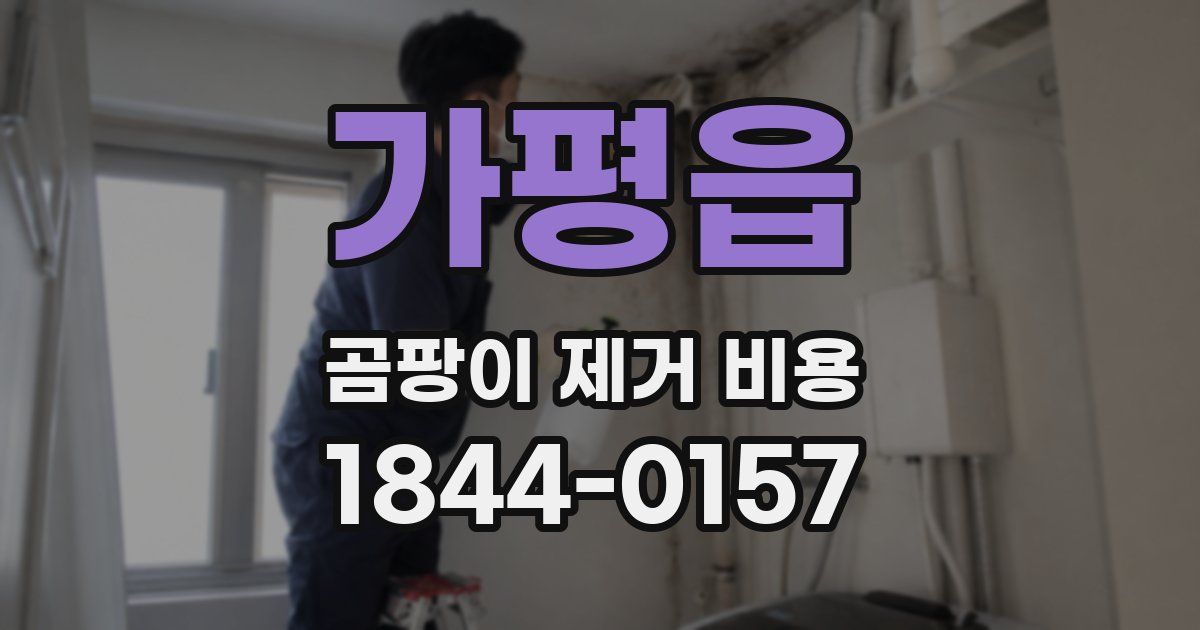 가평읍 곰팡이 제거 비용