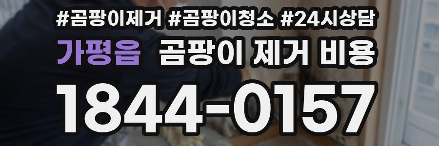 가평읍 곰팡이 제거 비용